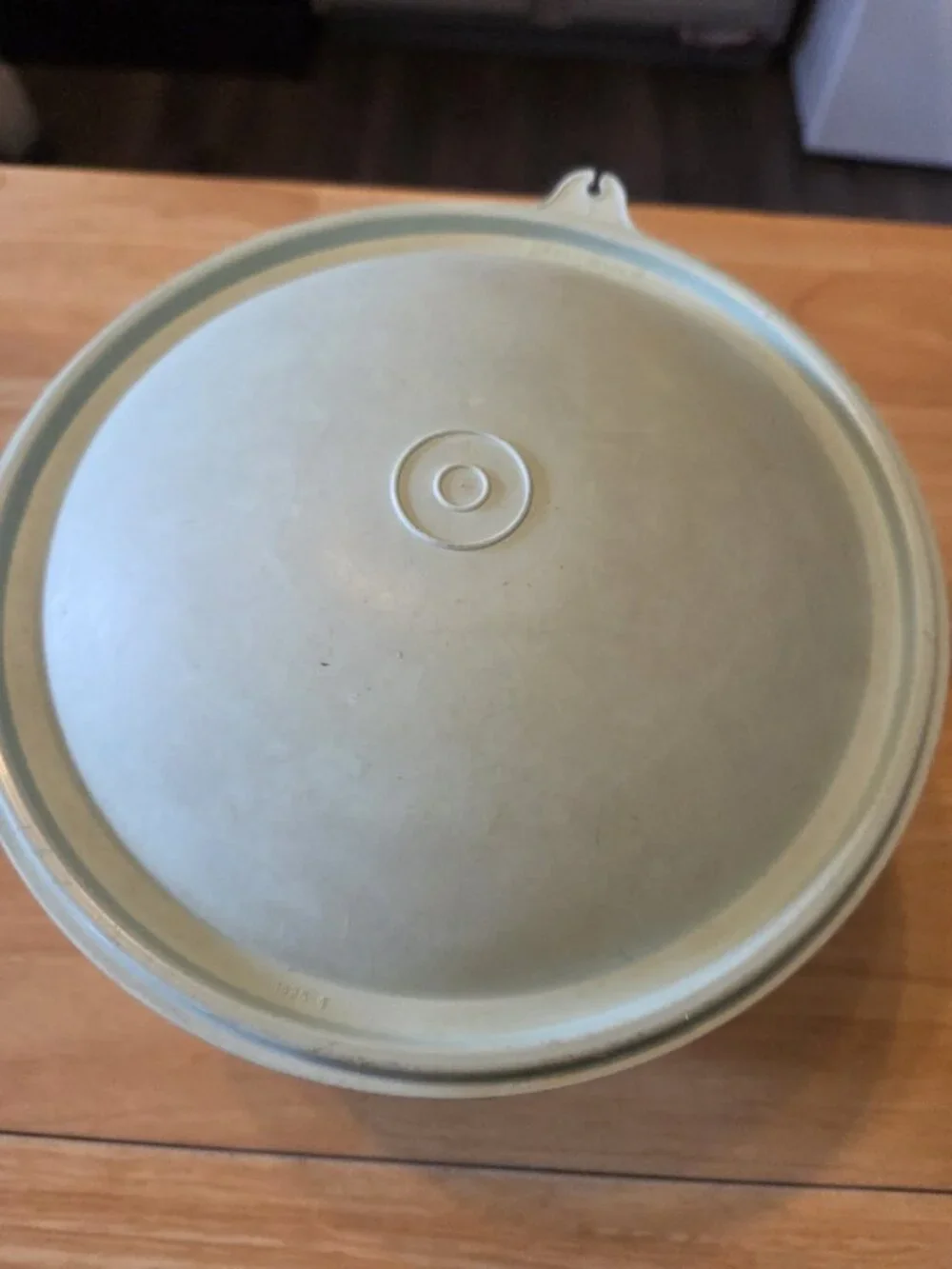 Vintage Tupperware Large Clear Lettuce Keeper with Mint Green Lid 1424-2